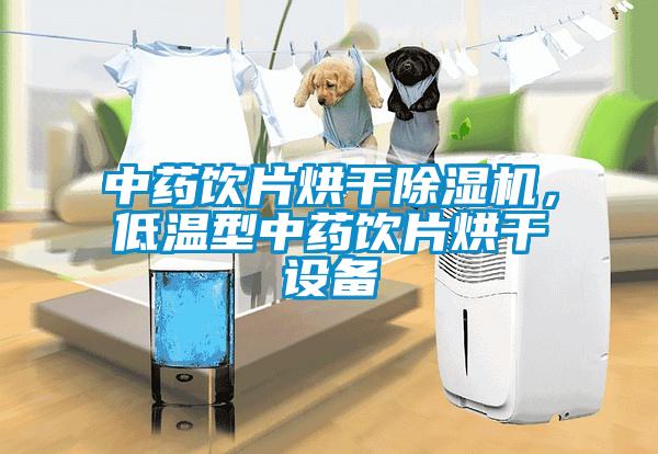 中藥飲片烘干除濕機，低溫型中藥飲片烘干設備
