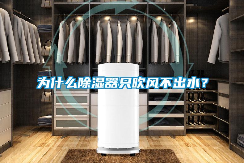 為什么除濕器只吹風不出水？