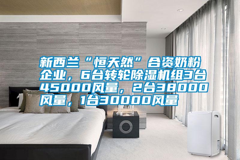新西蘭“恒天然”合資奶粉企業(yè)，6臺轉(zhuǎn)輪除濕機(jī)組3臺45000風(fēng)量，2臺38000風(fēng)量，1臺30000風(fēng)量