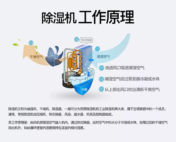 南方梅雨季到了房屋墻壁滲水、返潮怎么辦？