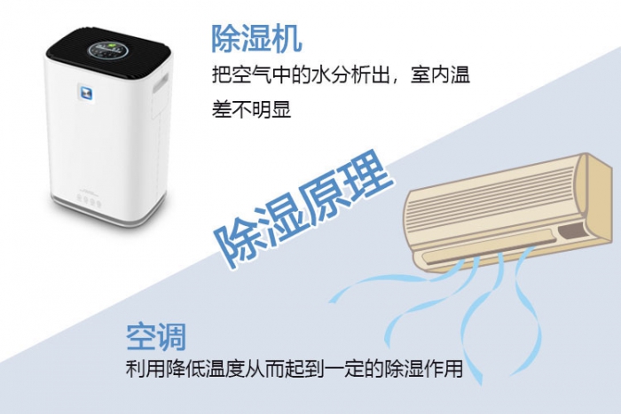 南方梅雨季，怎樣不讓“霉運”肆無忌憚？