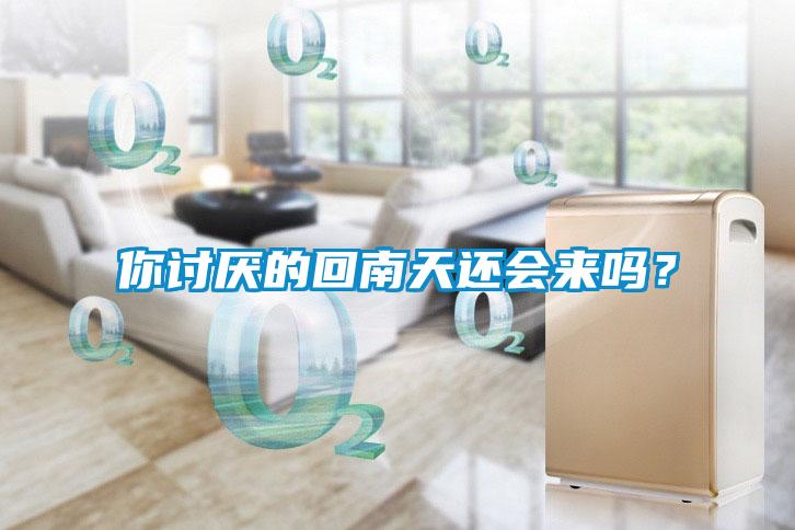 你討厭的回南天還會來嗎？