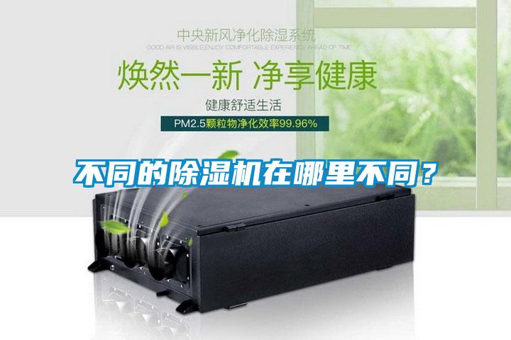 不同的除濕機在哪里不同？