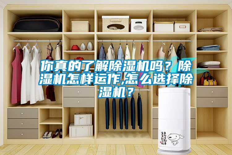 你真的了解除濕機(jī)嗎？除濕機(jī)怎樣運作,怎么選擇除濕機(jī)？