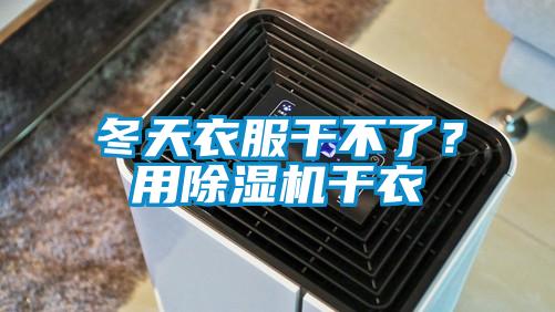 冬天衣服干不了？用除濕機干衣