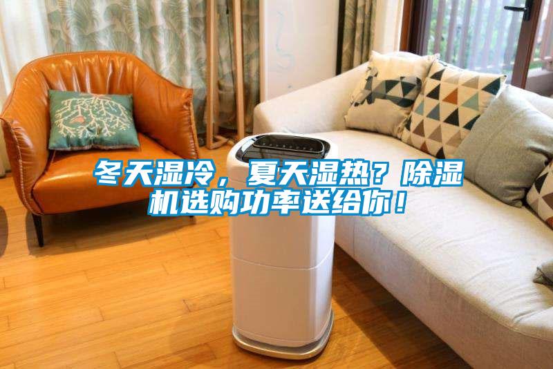 冬天濕冷，夏天濕熱？除濕機選購功率送給你！