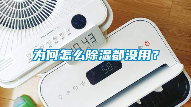 為何怎么除濕都沒用？