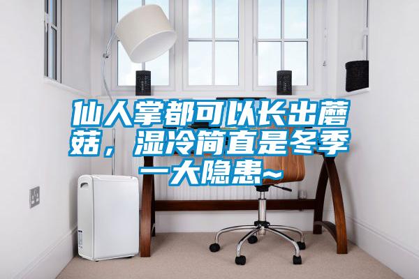 仙人掌都可以長出蘑菇，濕冷簡直是冬季一大隱患~