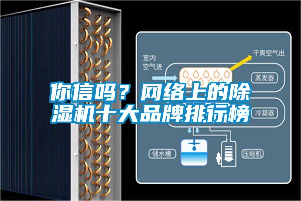 你信嗎？網絡上的除濕機十大品牌排行榜