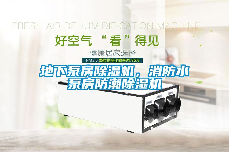地下泵房除濕機，消防水泵房防潮除濕機