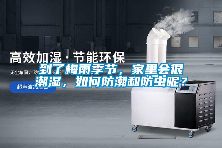 到了梅雨季節(jié)，家里會很潮濕，如何防潮和防蟲呢？