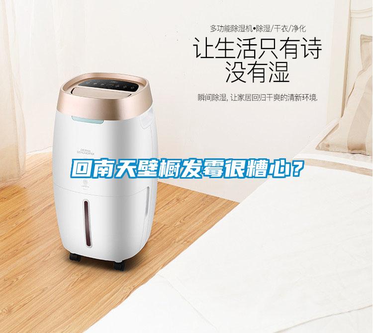 回南天壁櫥發(fā)霉很糟心？