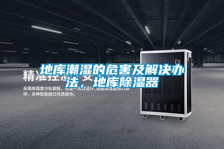 地庫潮濕的危害及解決辦法，地庫除濕器