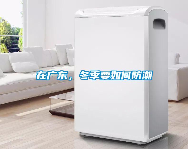 在廣東，冬季要如何防潮