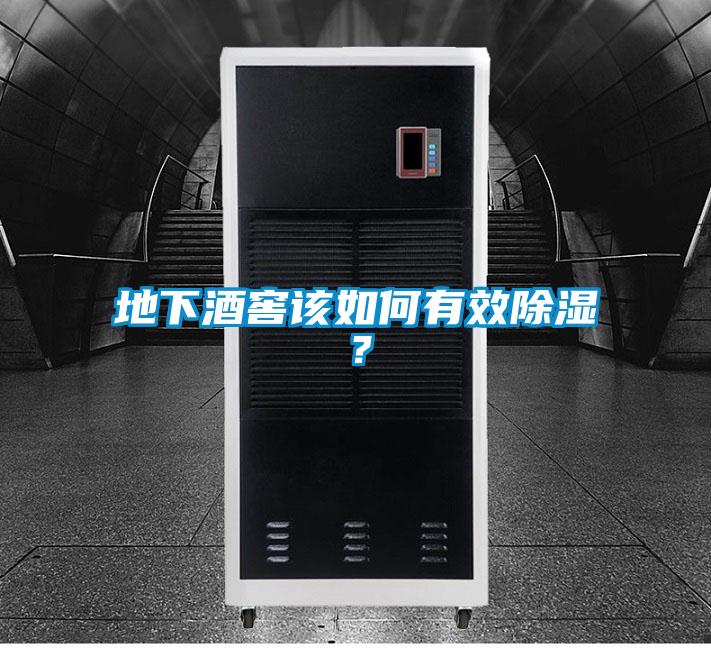 地下酒窖該如何有效除濕？
