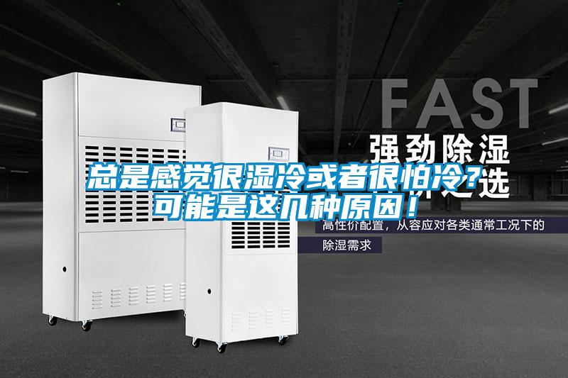 總是感覺很濕冷或者很怕冷？可能是這幾種原因！