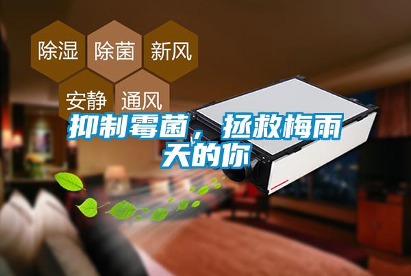 抑制霉菌，拯救梅雨天的你