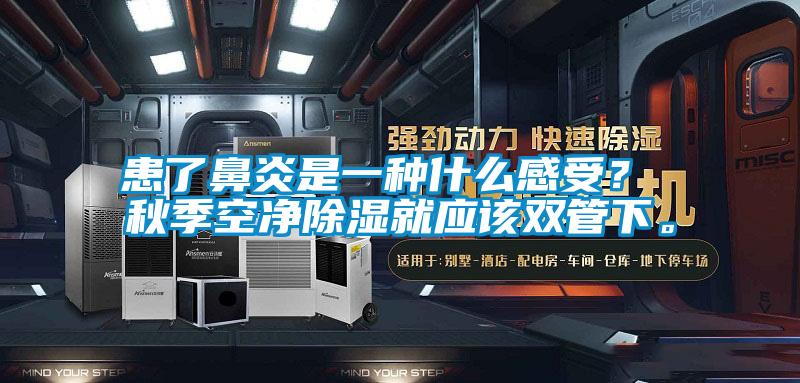 患了鼻炎是一種什么感受？ 秋季空凈除濕就應該雙管下。