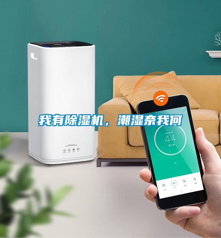 我有除濕機，潮濕奈我何