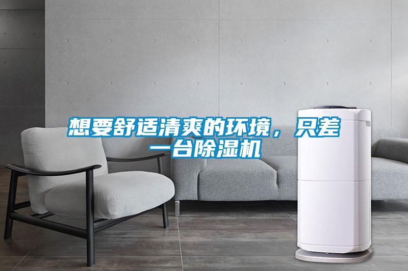 想要舒適清爽的環境，只差一臺除濕機