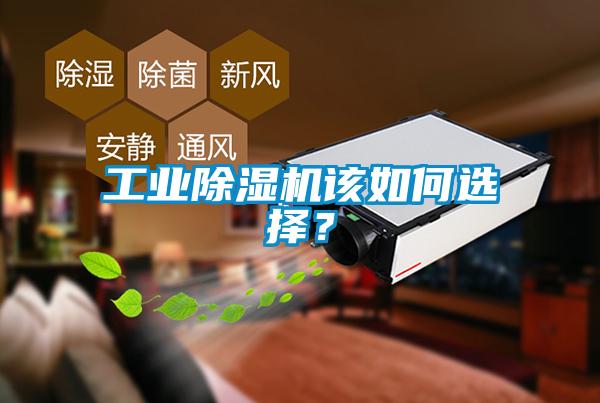 工業除濕機該如何選擇？