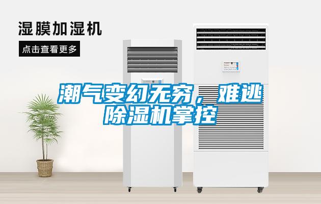 巧用車間除濕機(jī)，解決食品廠車間蒸汽問(wèn)題