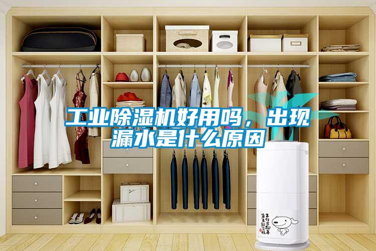 工業(yè)除濕機(jī)好用嗎，出現(xiàn)漏水是什么原因
