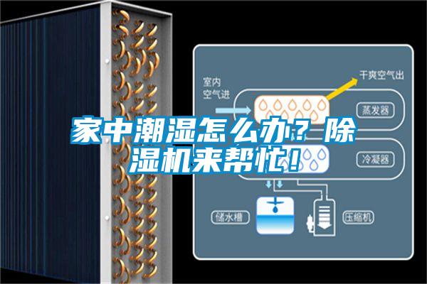 家中潮濕怎么辦？除濕機來幫忙！