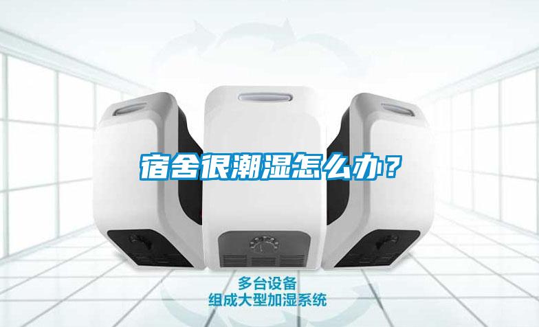 宿舍很潮濕怎么辦？