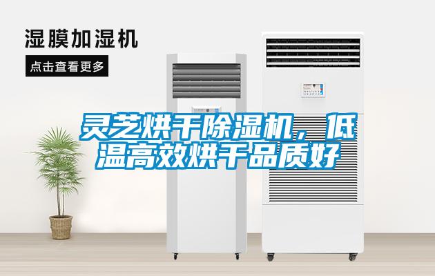 靈芝烘干除濕機，低溫高效烘干品質好