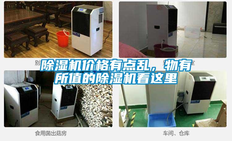 除濕機價格有點亂，物有所值的除濕機看這里