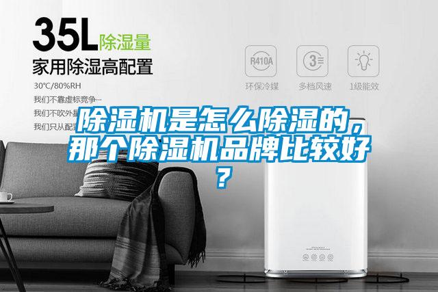 除濕機是怎么除濕的，那個除濕機品牌比較好？