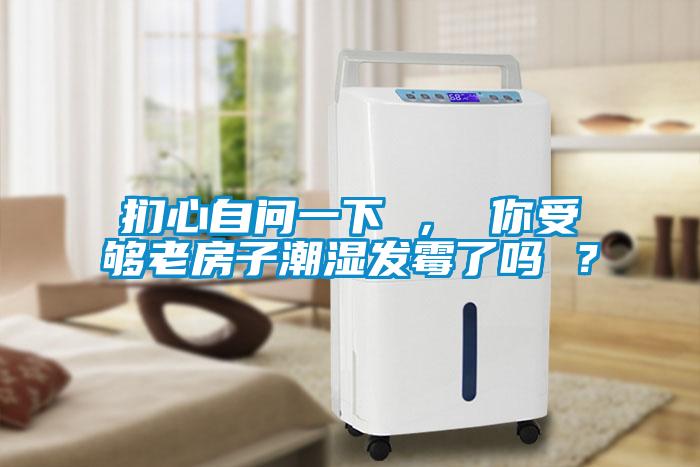 捫心自問一下 ， 你受夠老房子潮濕發(fā)霉了嗎 ？