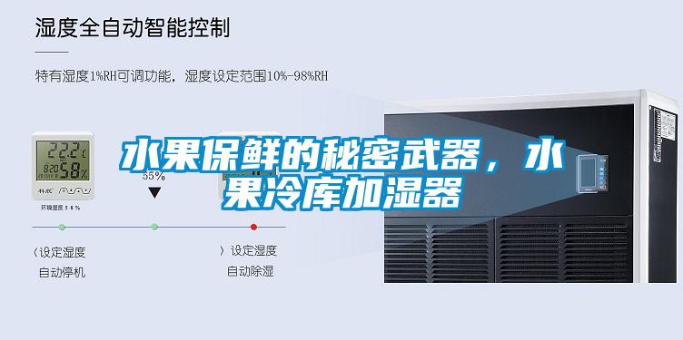 水果保鮮的秘密武器，水果冷庫加濕器