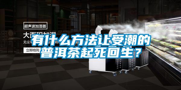 有什么方法讓受潮的普洱茶起死回生？