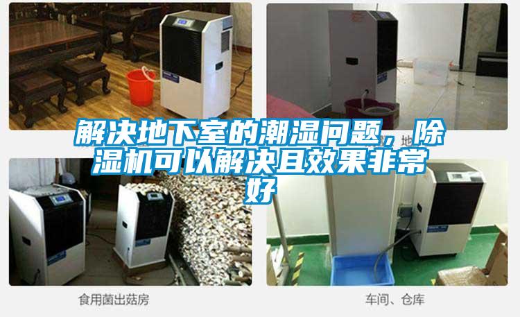 解決地下室的潮濕問題，除濕機可以解決且效果非常好