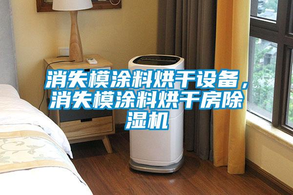 消失模涂料烘干設備，消失模涂料烘干房除濕機
