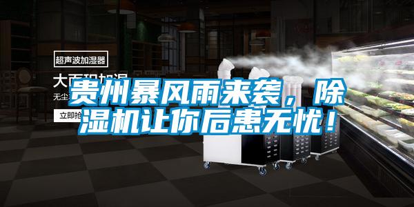貴州暴風(fēng)雨來襲，除濕機讓你后患無憂！