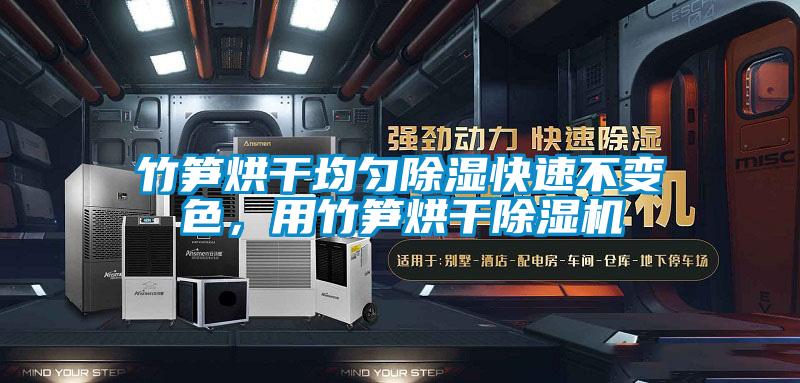 竹筍烘干均勻除濕快速不變色，用竹筍烘干除濕機