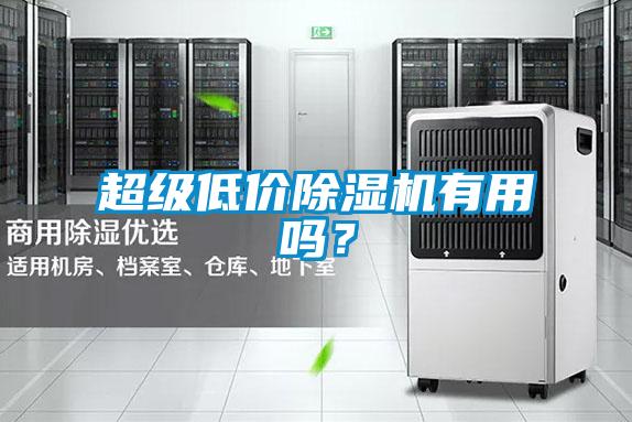 超級(jí)低價(jià)除濕機(jī)有用嗎？