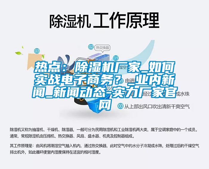 熱點：除濕機廠家_如何實戰(zhàn)電子商務？_業(yè)內(nèi)新聞_新聞動態(tài)-實力廠家官網(wǎng)