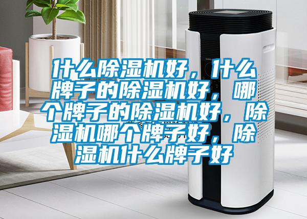 什么除濕機好，什么牌子的除濕機好，哪個牌子的除濕機好，除濕機哪個牌子好，除濕機什么牌子好