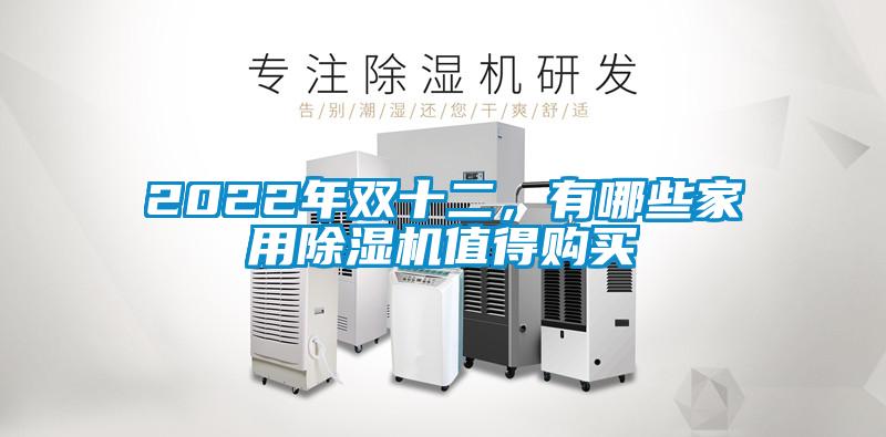 2022年雙十二，有哪些家用除濕機值得購買