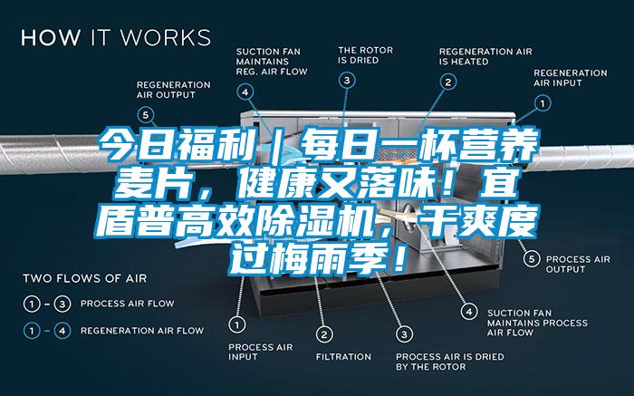 今日福利｜每日一杯營(yíng)養(yǎng)麥片，健康又落味！宜盾普高效除濕機(jī)，干爽度過(guò)梅雨季！