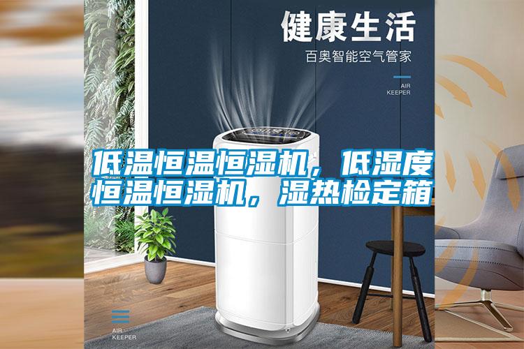 低溫恒溫恒濕機(jī)，低濕度恒溫恒濕機(jī)，濕熱檢定箱