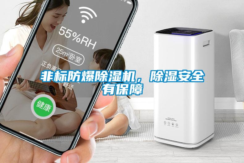 非標防爆除濕機，除濕安全有保障