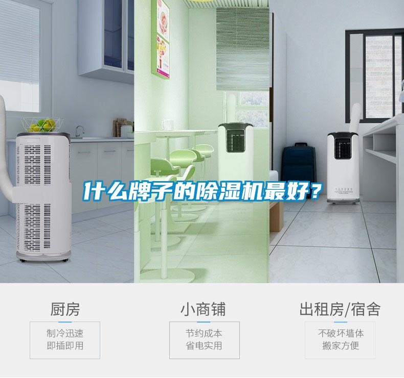 什么牌子的除濕機(jī)最好？