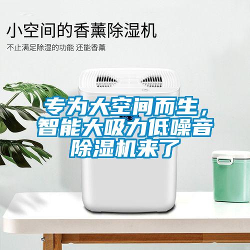 專為大空間而生，智能大吸力低噪音除濕機(jī)來(lái)了