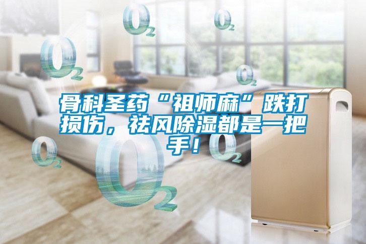 骨科圣藥“祖師麻”跌打損傷，祛風除濕都是一把手！