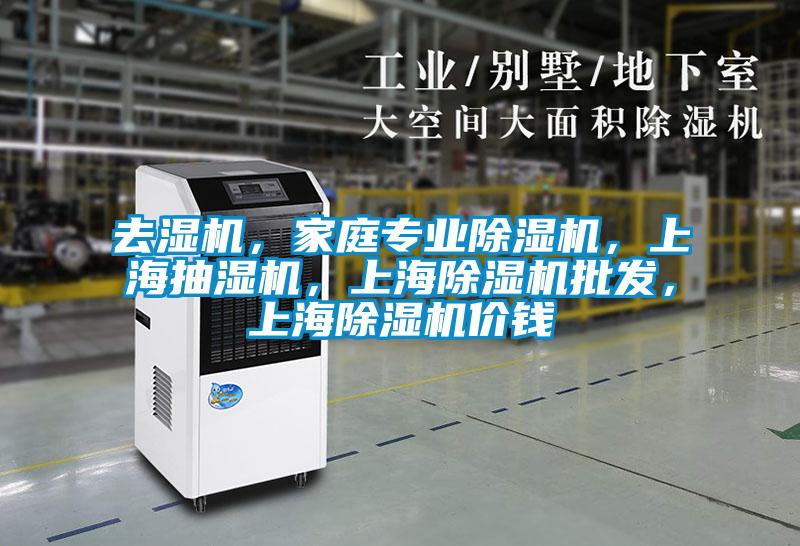 去濕機，家庭專業(yè)除濕機，上海抽濕機，上海除濕機批發(fā)，上海除濕機價錢